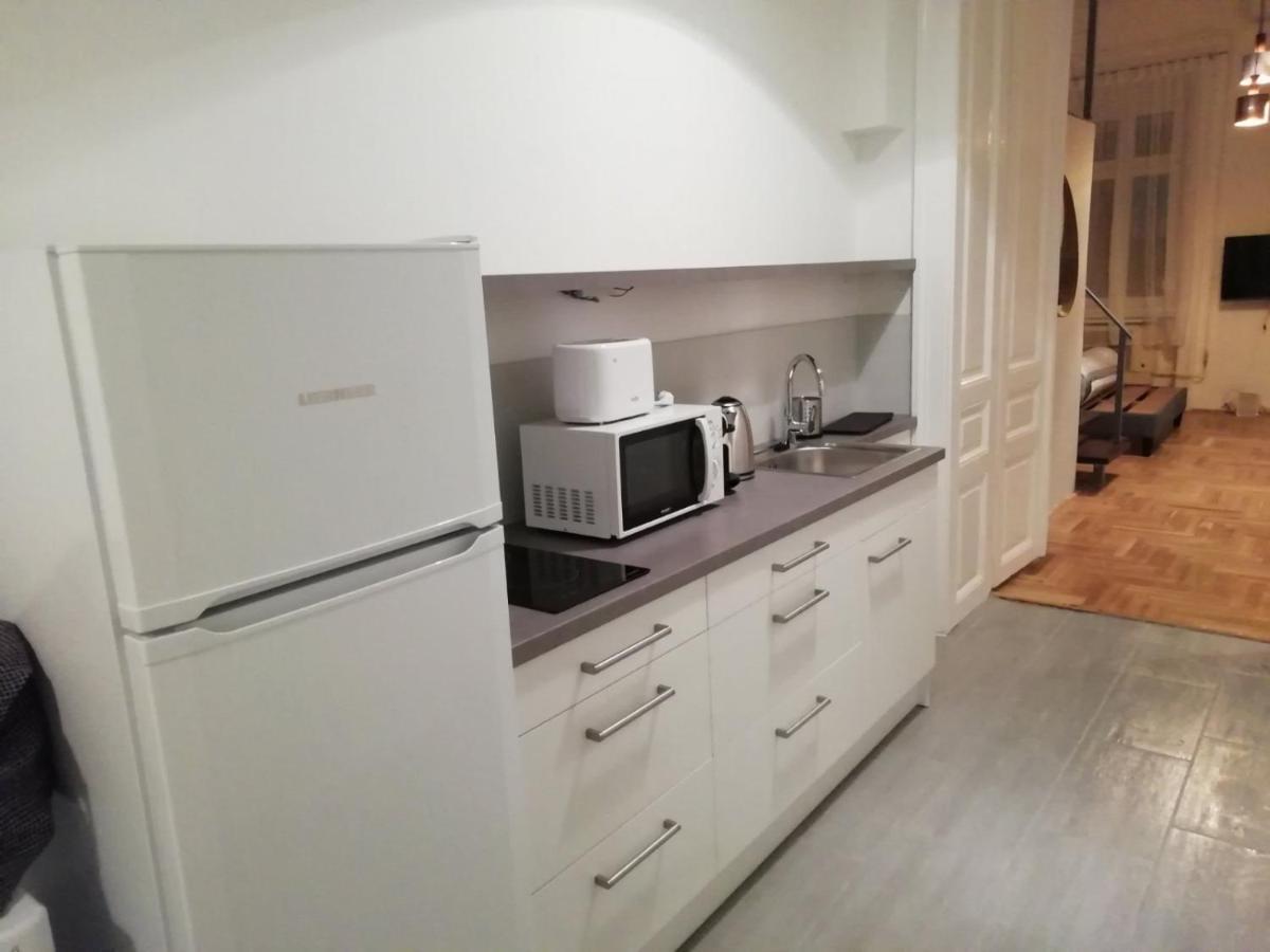 Luxury New Apartment With Gallery At Dob Street Nearby Gozsdu Court بودابست المظهر الخارجي الصورة